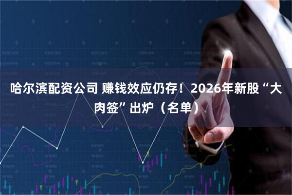 哈尔滨配资公司 赚钱效应仍存！2026年新股“大肉签”出炉（名单）