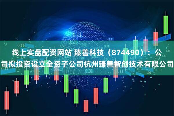 线上实盘配资网站 臻善科技（874490）：公司拟投资设立全资子公司杭州臻善智创技术有限公司
